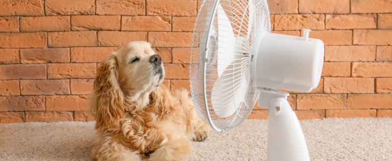 5 Signs It’s Time To Replace Your AC