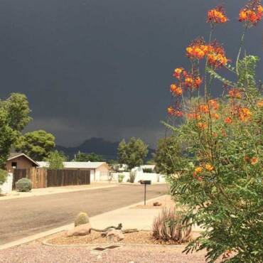 How Arizona’s Monsoon Season Can Impact Your Home