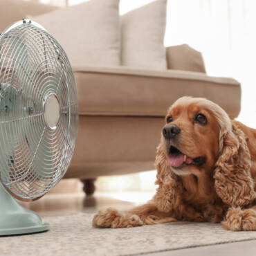 Top AC Experts’ Tips for a Cool Summer House 