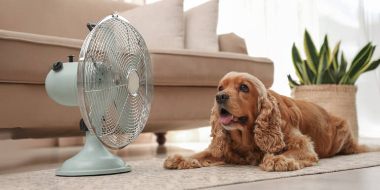 Top AC Experts’ Tips for a Cool Summer House 