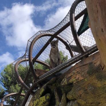 Outdoor Misters Cool at the Orange County Zoo