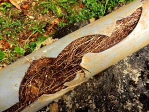 How do Plumbers Inspect Sewer Pipes?