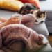 Heat Pumps: The Pros and Cons You’ll Want to Consider