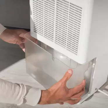 Why You Need a Dehumidifier in Your Florida Home