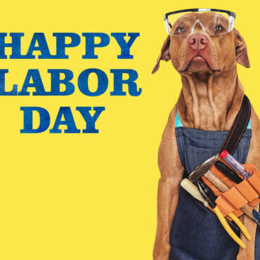 Keeping Your Home Cool and AC Happy over Labor Day 