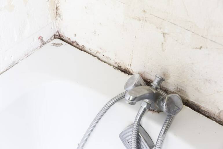 Fixing Typical Bathroom Plumbing Problems with Older Showers