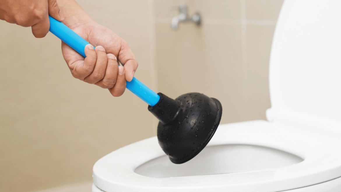 Plumber’s Guide to a Toilet That Won’t Flush