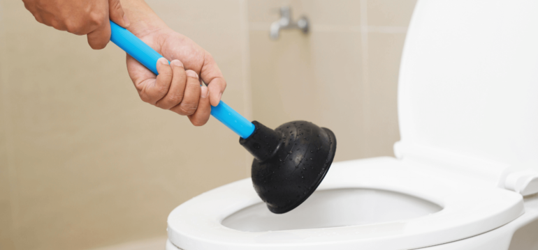 Plumber’s Guide to a Toilet That Won’t Flush