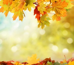 Fall Is the Time to Schedule an HVAC Maintenance Tune-Up and Inspection