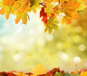 Fall Means It’s Time to Schedule Heating Maintenance