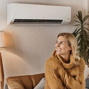 Surviving Ottawa’s Winter with a Heat Pump