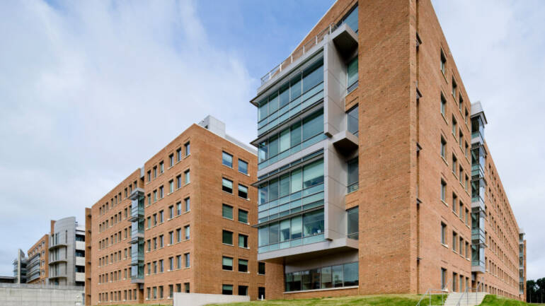 A Guide to Developing a Practical Perspective on Building Decarbonization