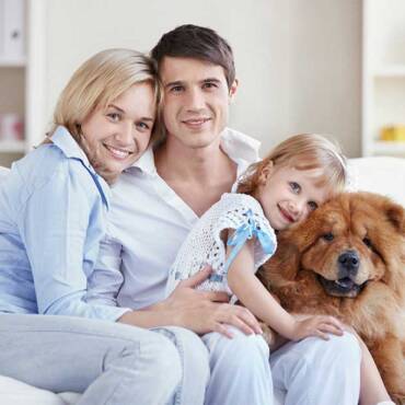 The Best Options for Clean Indoor Air