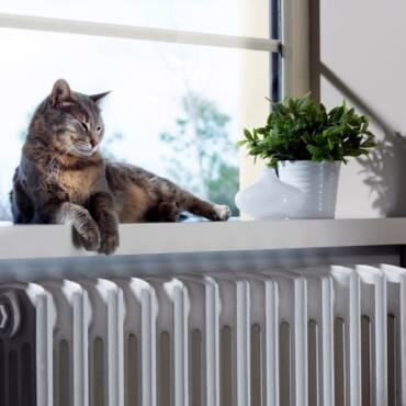 3 Ways Pet Owners Can Maintain Their HVAC Systems