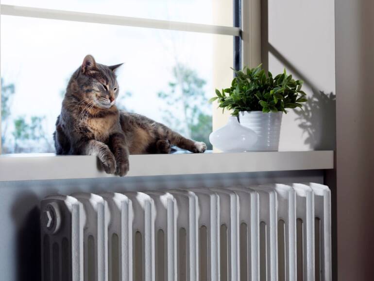 3 Ways Pet Owners Can Maintain Their HVAC Systems