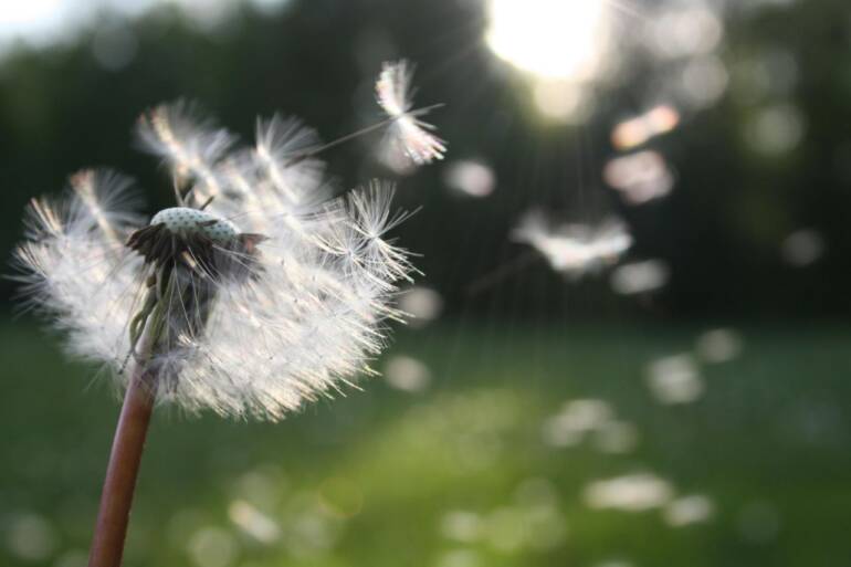 Improve Indoor Air Quality | Woods Comfort Systems