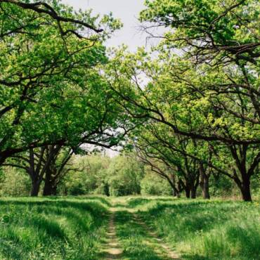 Why You Should Start an HVAC Maintenance Plan This Spring