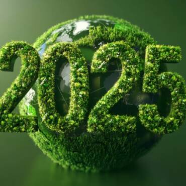 What Does It Mean for Your Business?