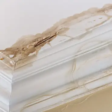 Plumbing Myths Debunked – Stop Believing These Now