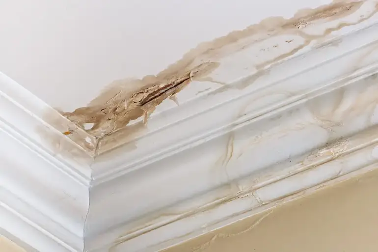 Plumbing Myths Debunked – Stop Believing These Now