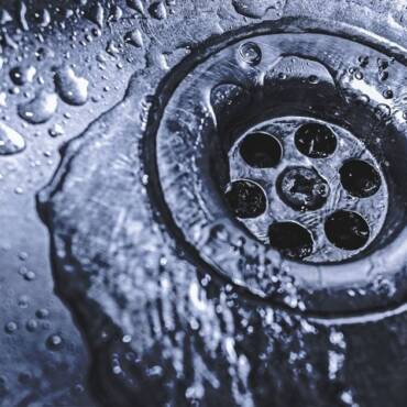 A Guide To Banishing Fruit Flies From Your Kitchen And Bathroom