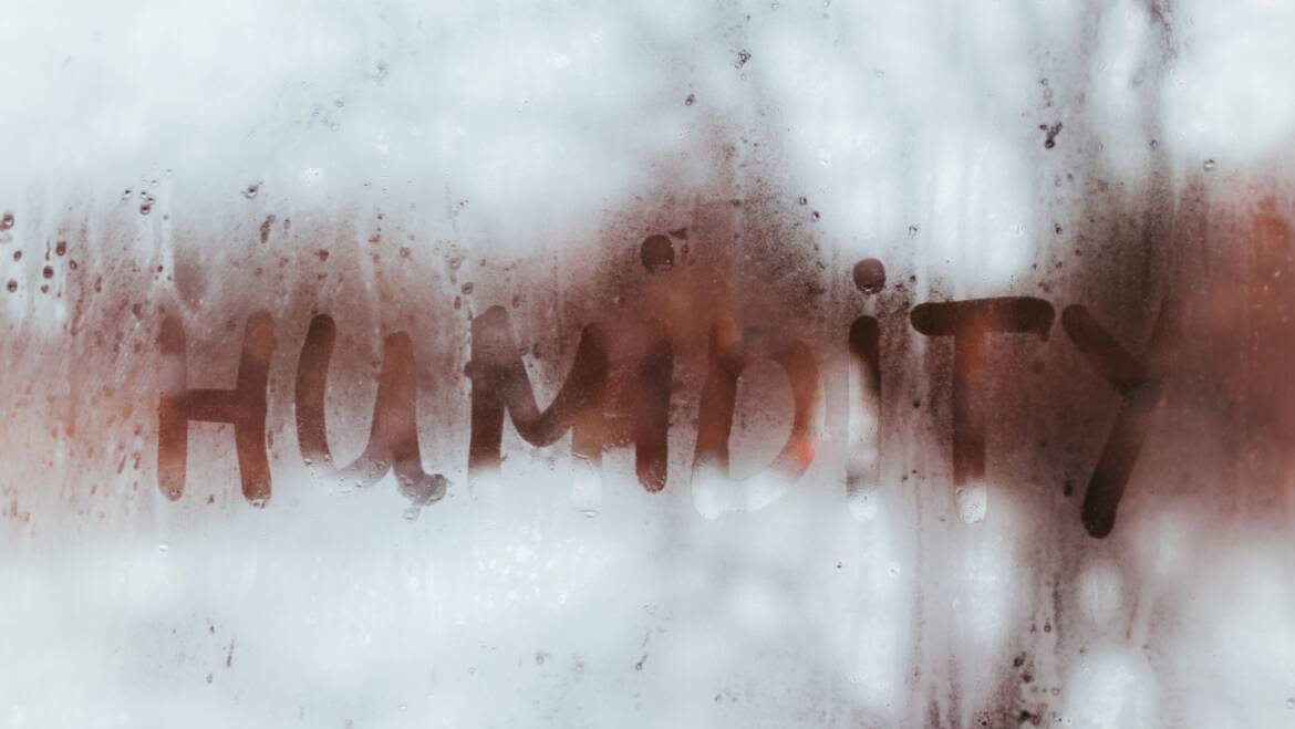 Why Dehumidifiers Can Be Great for Winters