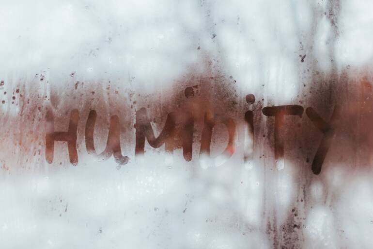 Why Dehumidifiers Can Be Great for Winters