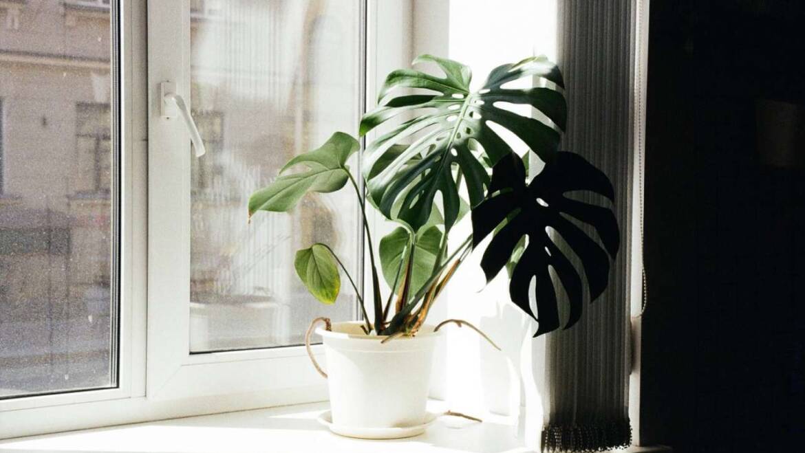 Indoor Air Quality | Aire-Flo Heating, Cooling & Generators