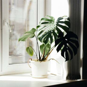 Indoor Air Quality | Aire-Flo Heating, Cooling & Generators