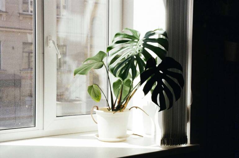Indoor Air Quality | Aire-Flo Heating, Cooling & Generators