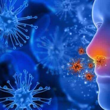 How HVAC Solutions Safeguard Indoor Air