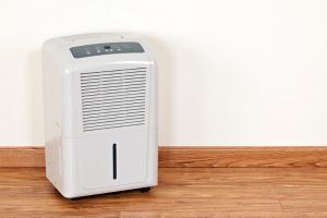 Portable Vs. Whole-House Dehumidifiers