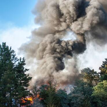Why Air Filter Changes Matter During Wildfire Season in Washington