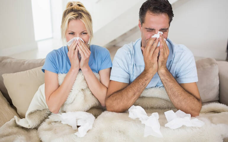 How a Whole-Home Air Purifier Can Improve Your Health