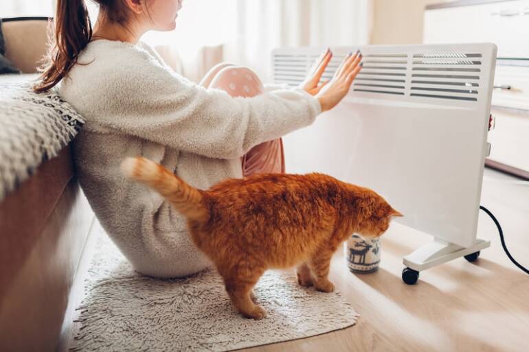 Can My Pets Make My IAQ Worse in Southchase, FL?