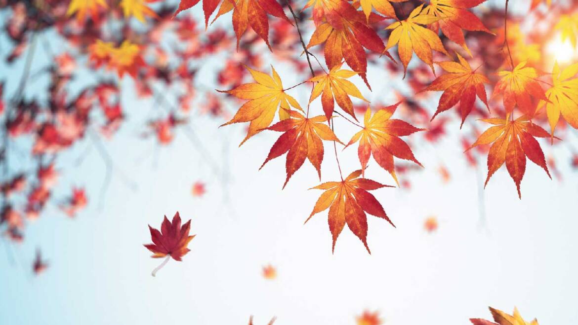 HVAC Replacement in Tampa Bay