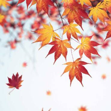 HVAC Replacement in Tampa Bay