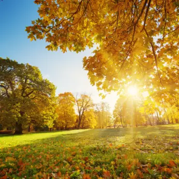 Why Schedule a Heater Tune-Up in Early Fall?