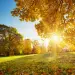 Why Schedule a Heater Tune-Up in Early Fall?