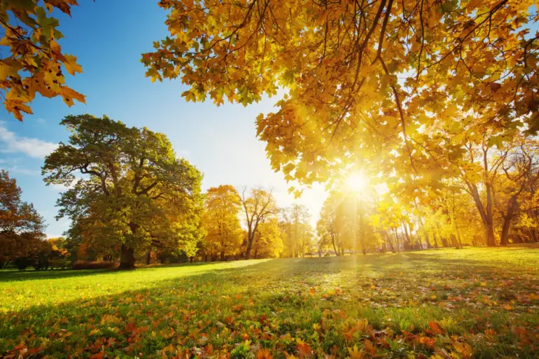 Why Schedule a Heater Tune-Up in Early Fall?