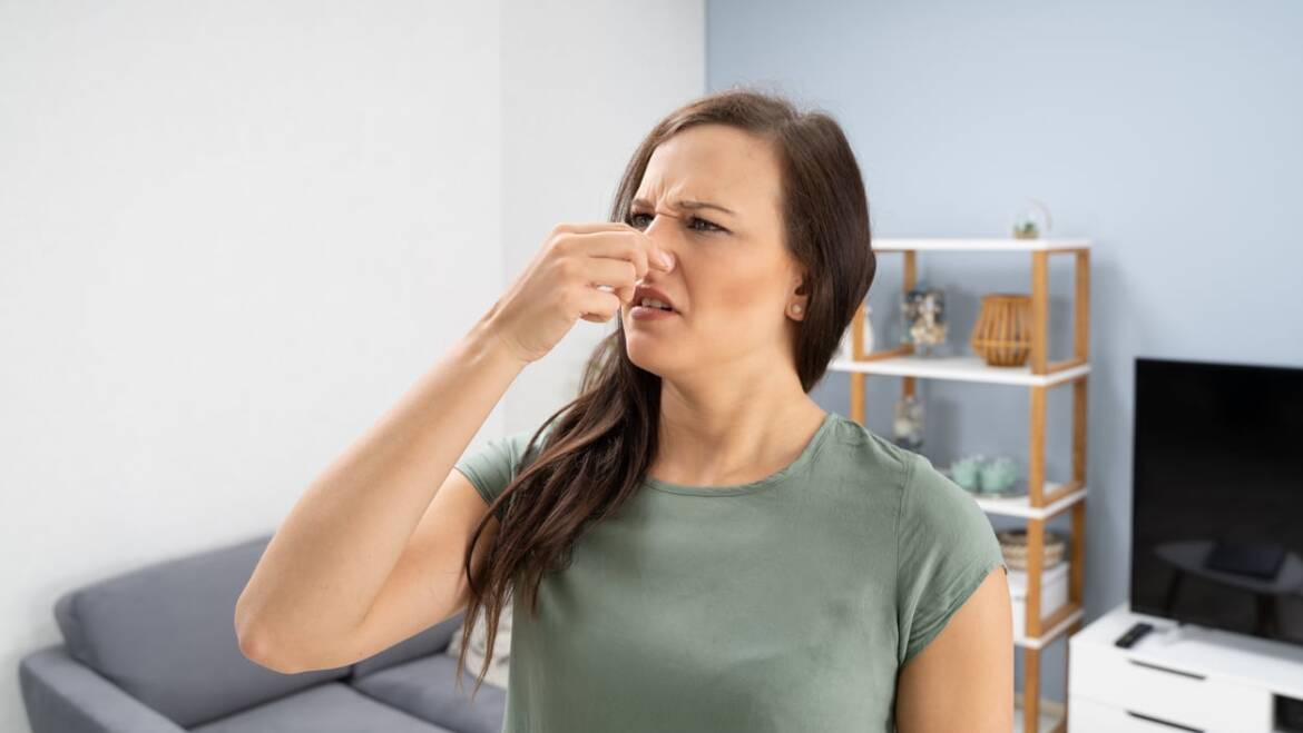 Preventing Furnace Odors and Noises This Holiday Season