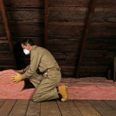 Vestibulum ultricies pellentesque mi, sit amet iaculis odio cursus id