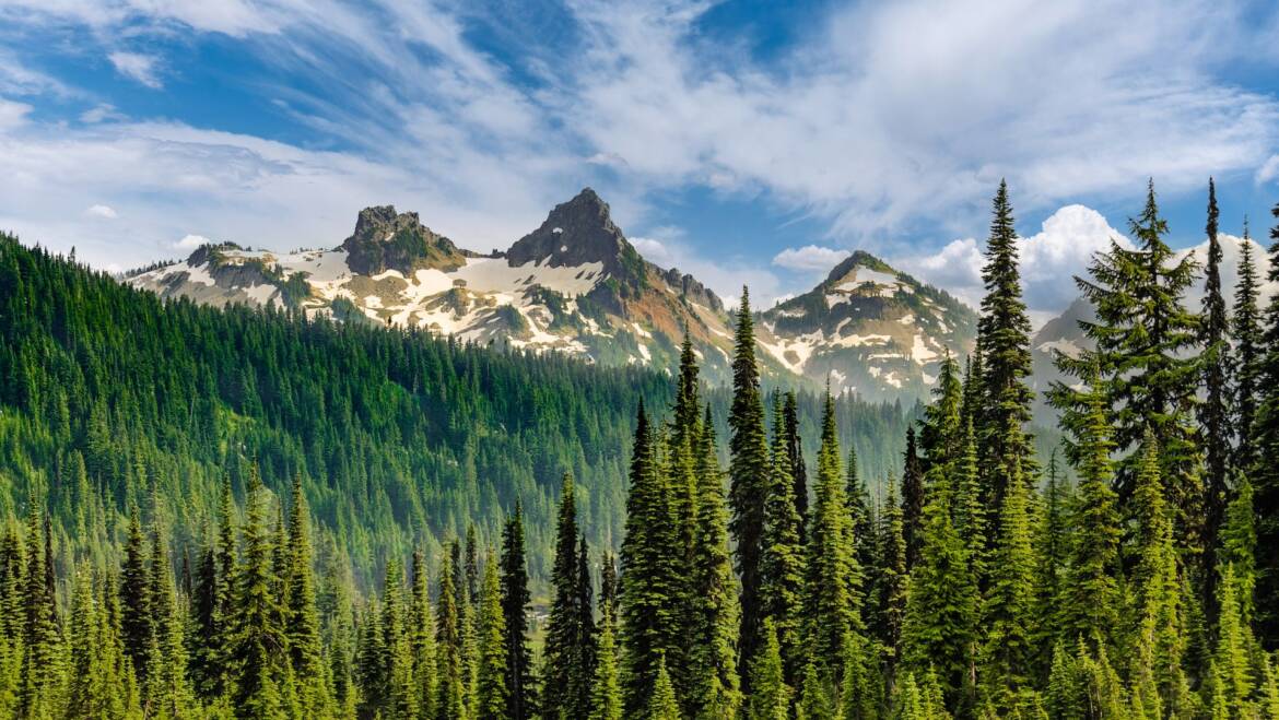 Improving Indoor Air Quality Before the Cold Season in Washington