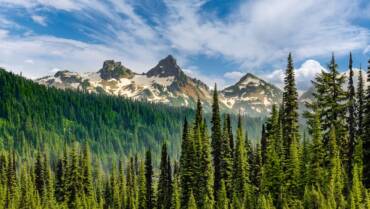 Improving Indoor Air Quality Before the Cold Season in Washington