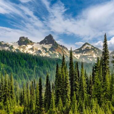 Improving Indoor Air Quality Before the Cold Season in Washington