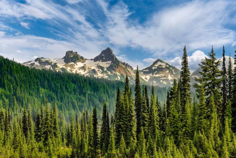 Improving Indoor Air Quality Before the Cold Season in Washington