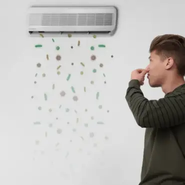 Air Duct Cleaning Wesley Chapel | Improved Indoor Air Quality