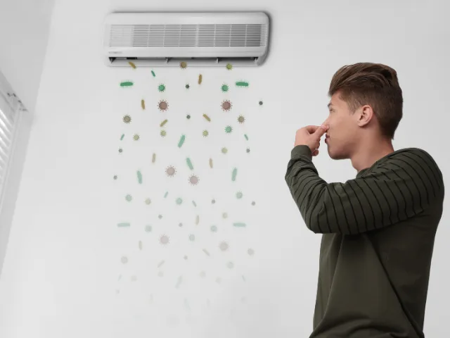 Air Duct Cleaning Wesley Chapel | Improved Indoor Air Quality