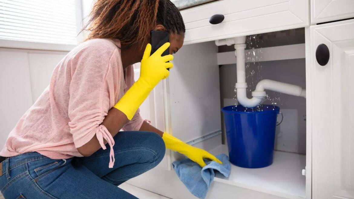 What To Do About Leaks Under the Kitchen Sink