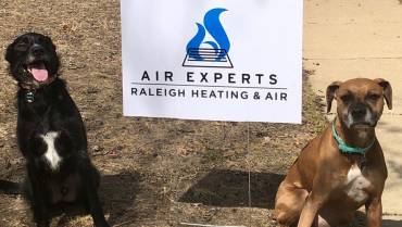 5 Pet Safety Tips For Hot Weather